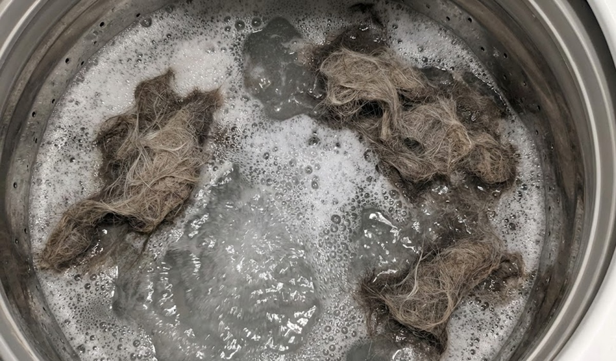 洗濯機の猫の毛を溶かすのに酸素系漂白剤が逆効果な理由